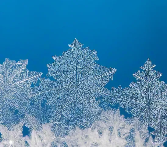 Macro snowflakes forming frost pattern