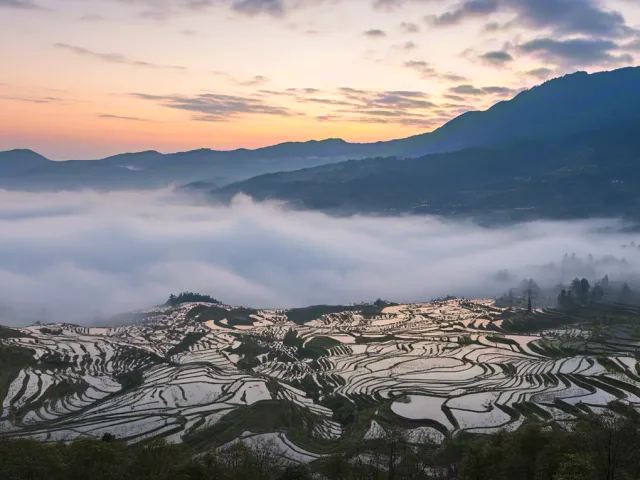 Mist rolling over layered mountain rice fields