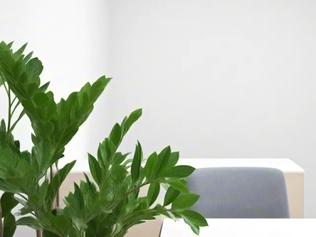 close-up of green plant leaves in a modern interior