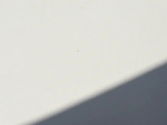 clean minimal white background with soft shadow
