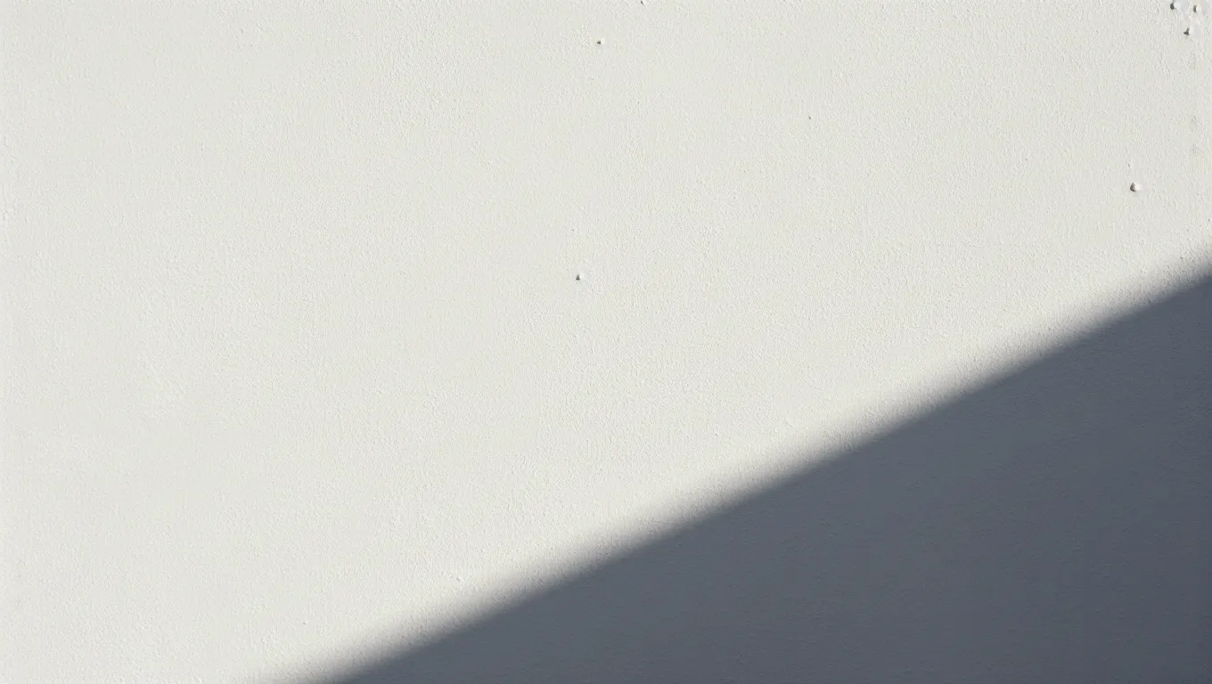 clean minimal white background with soft shadow