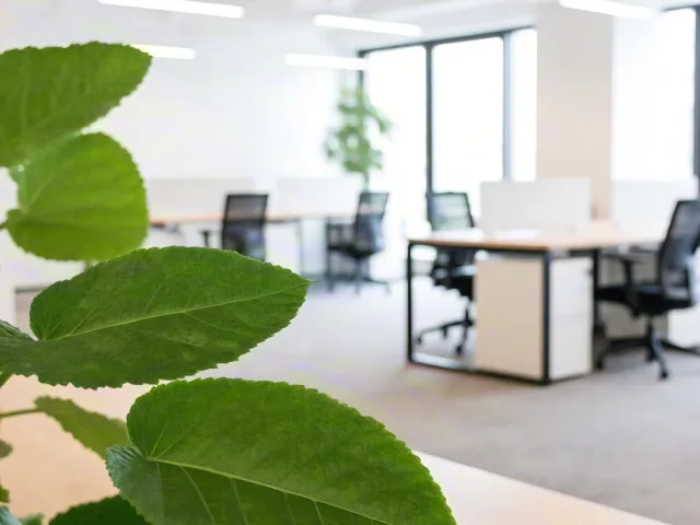 Close-up of green leaves in a modern open-plan office with natural light, minimalist furniture, and eco-friendly design elements