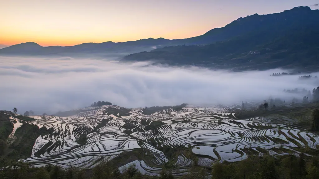 Mountain valley covered in morning mist
