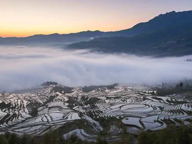 Misty mountain terraces at sunrise