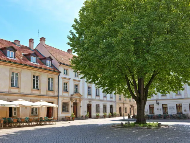 Peaceful town square with houses and tree