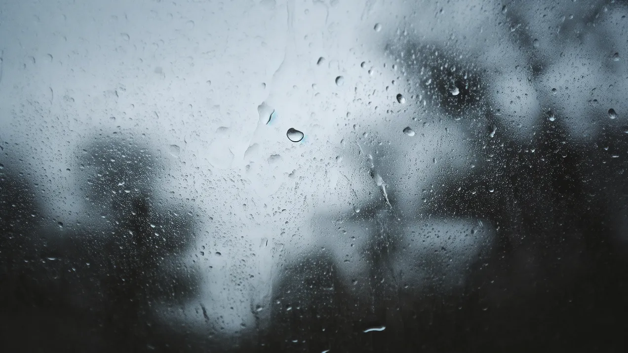 Wet window showing reflections and dark silhouettes under cloudy weather.