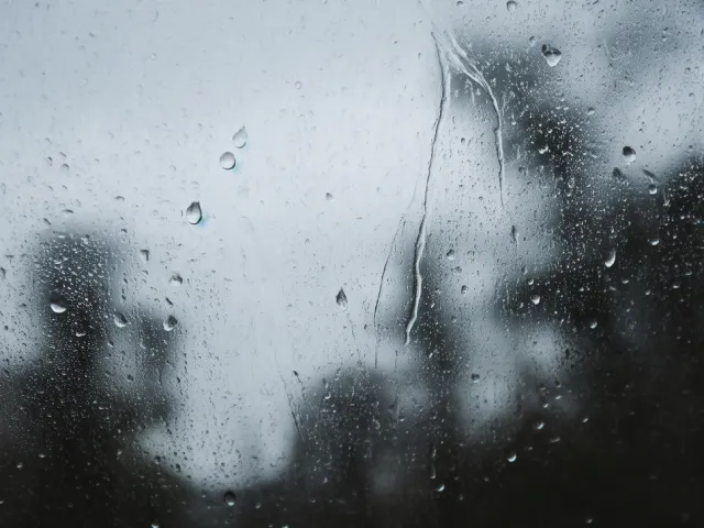Water droplets running down window with blurry trees in background.