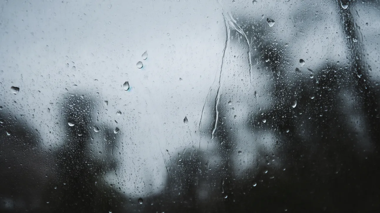 Water droplets running down window with blurry trees in background.