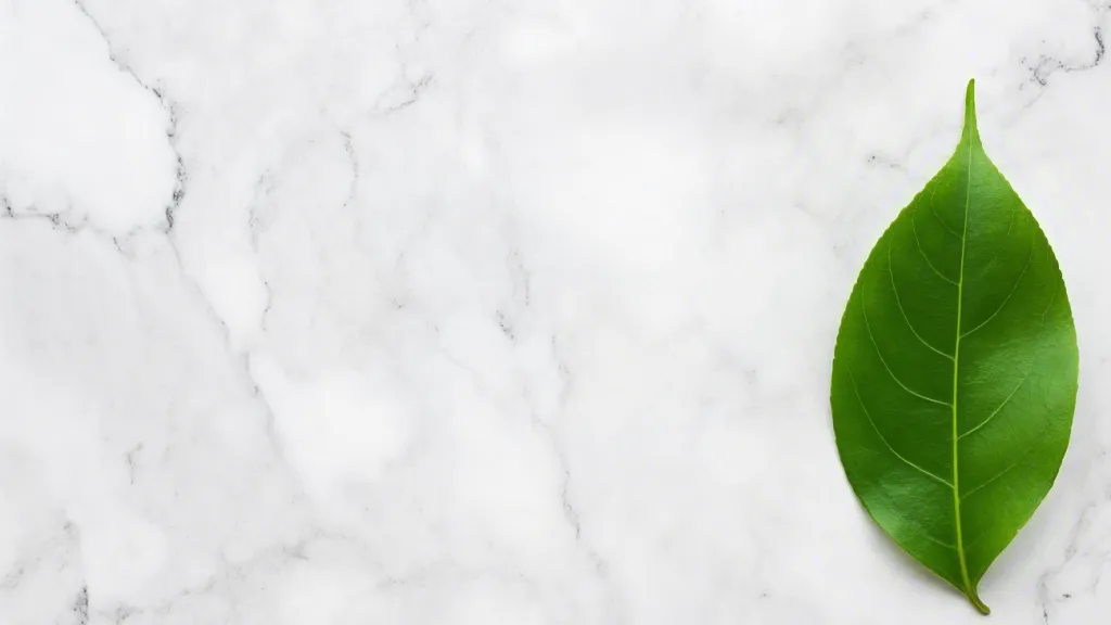 Single leaf on marble top view composition