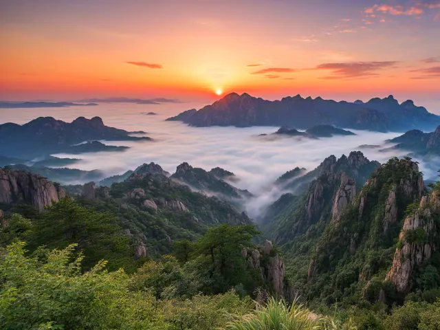 Golden sunrise illuminating fog-covered mountain peaks and lush green forest below.