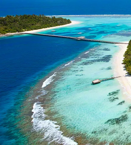 Bird’s-eye view of small island with lush greenery and clear sea.