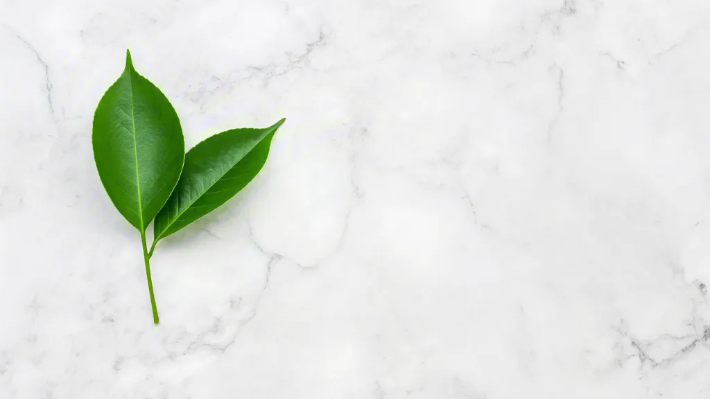 Two fresh green leaves on white marble background