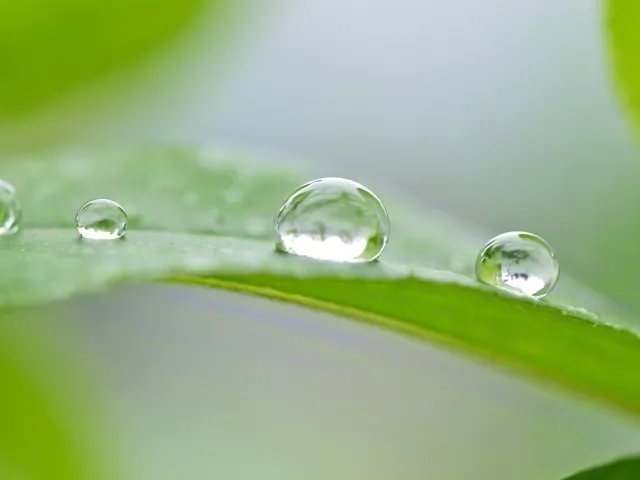 Close-up macro of water droplets resting on a green leaf surface, symbolizing purity, freshness, and natural balance
