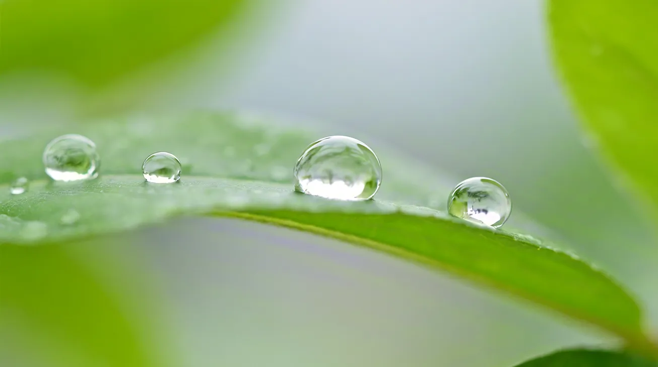 Close-up macro of water droplets resting on a green leaf surface, symbolizing purity, freshness, and natural balance