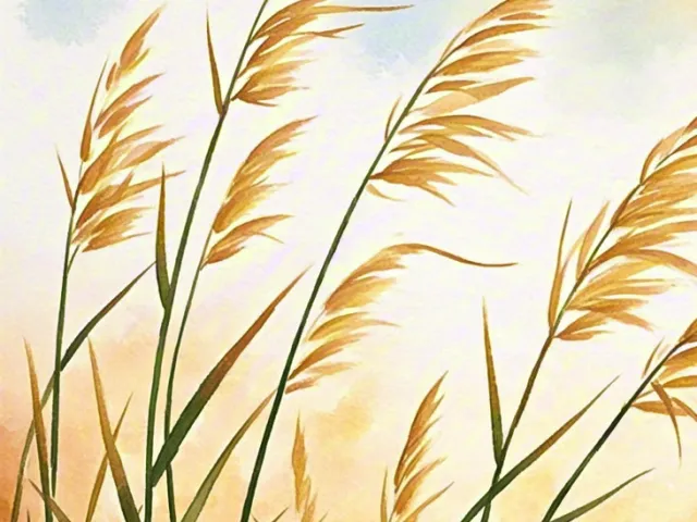 Minimal watercolor landscape of tall golden grass swaying in the wind