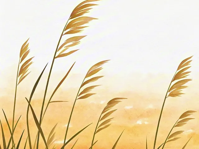 Minimal watercolor illustration of tall golden grass moving in the wind