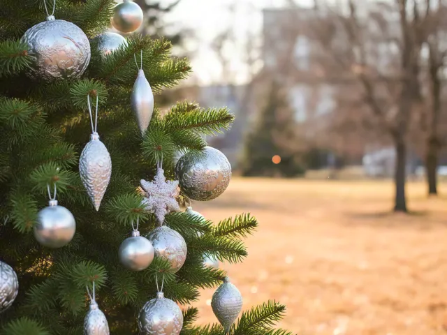 Close-up of Christmas tree branch decorated with silver ornaments outdoors