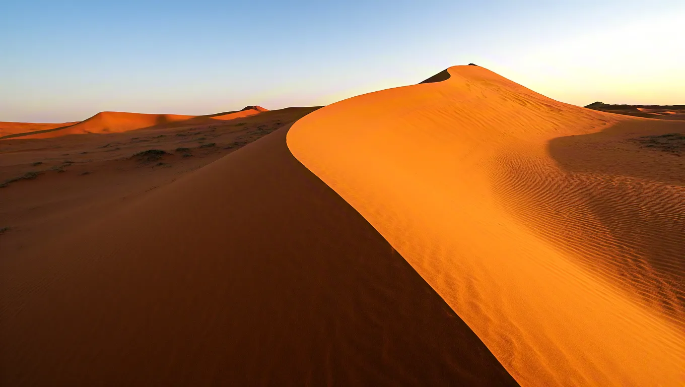Flowing golden sand dunes under warm sunlight in desert environment