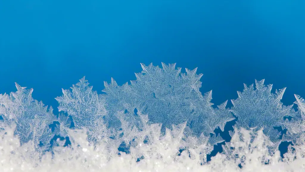Snow-Covered Pine Branches in Winter
