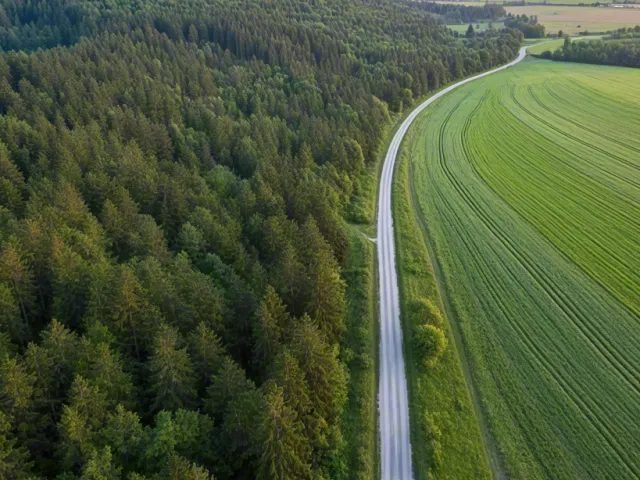 Aerial view of road cutting through dense green forest