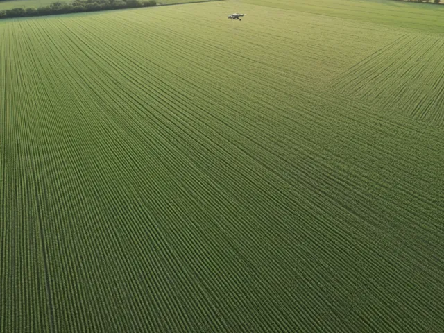 Aerial view of agricultural fields at sunset