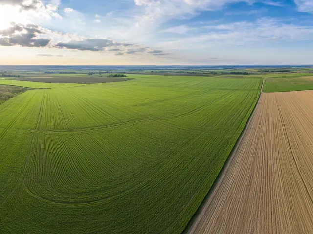 Aerial view of farmland forming geometric patterns